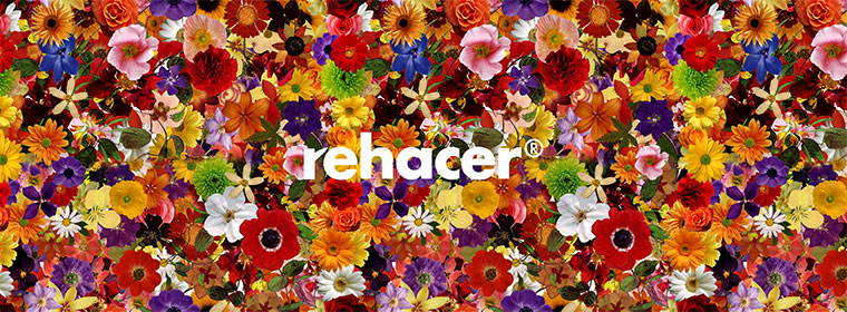 rehacer / レアセル